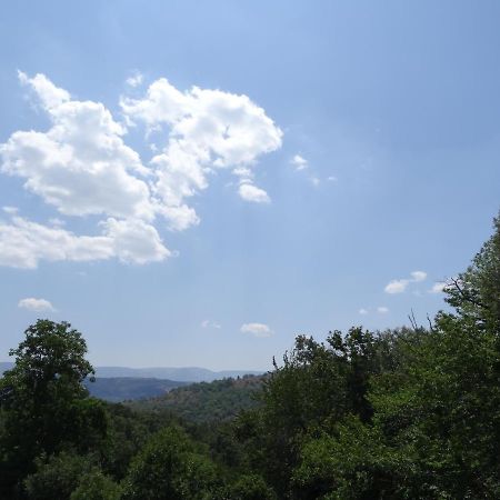 Al Patio Villa Los Loros Exteriör bild